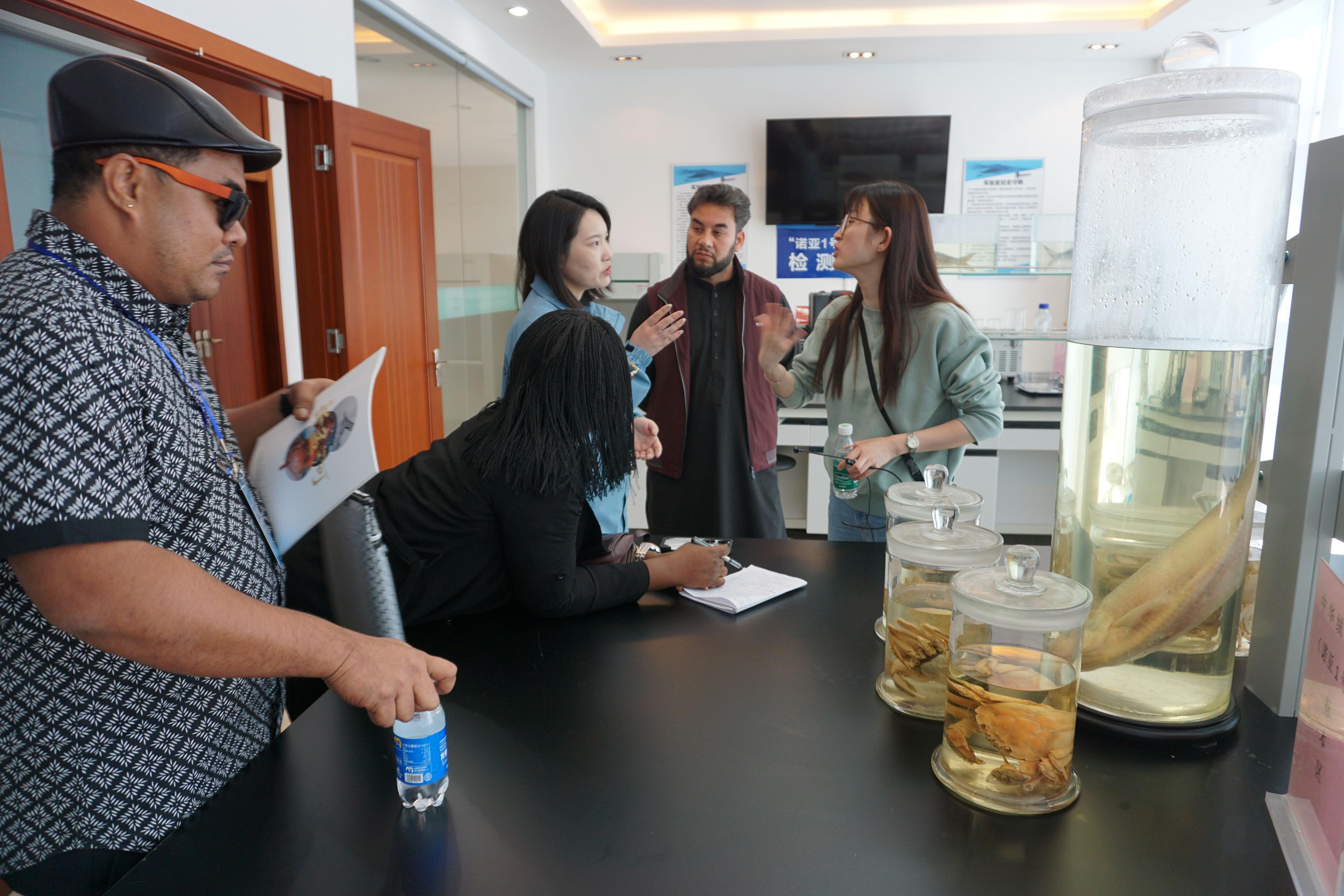 Sunset in the mountains