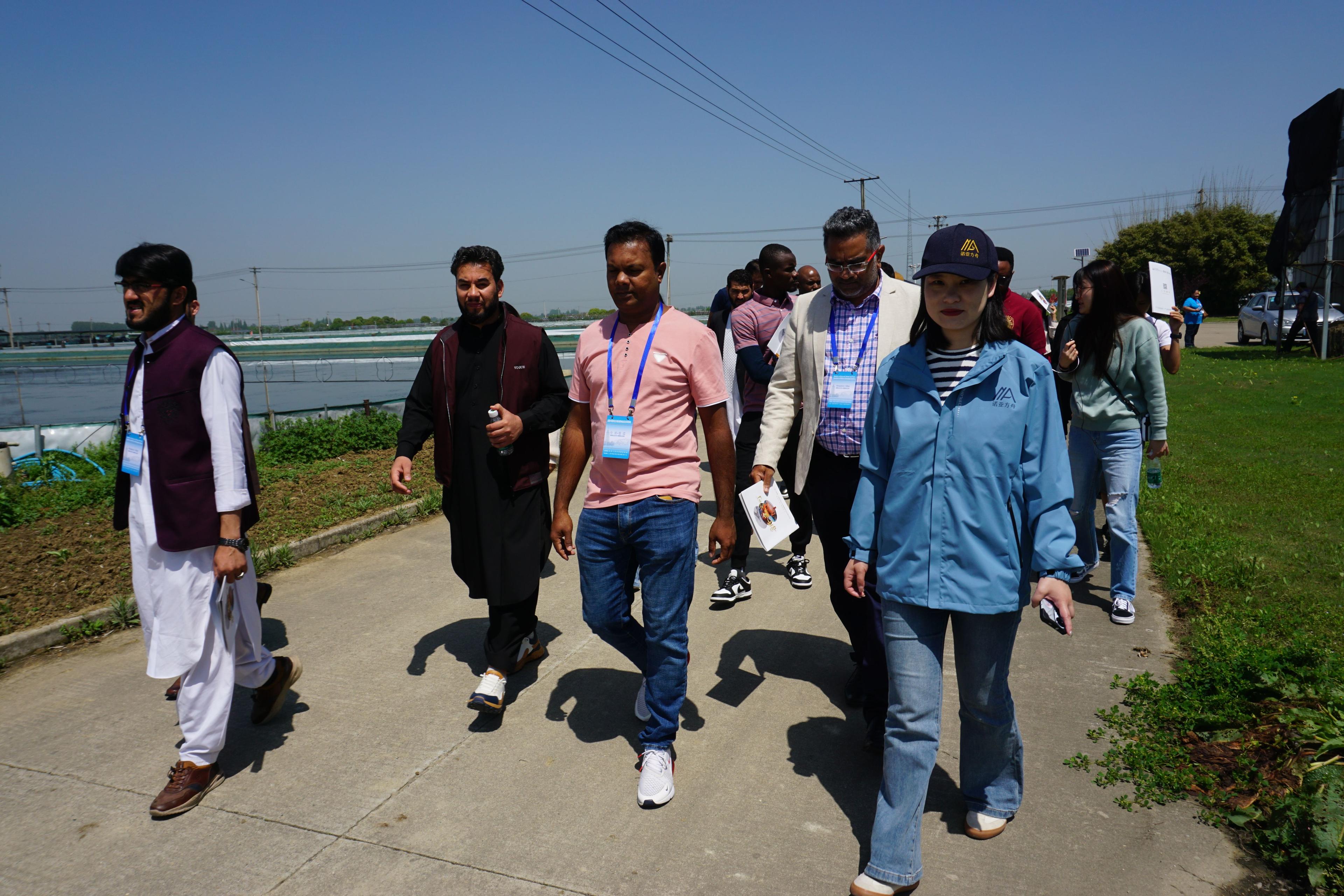 Sunset in the mountains