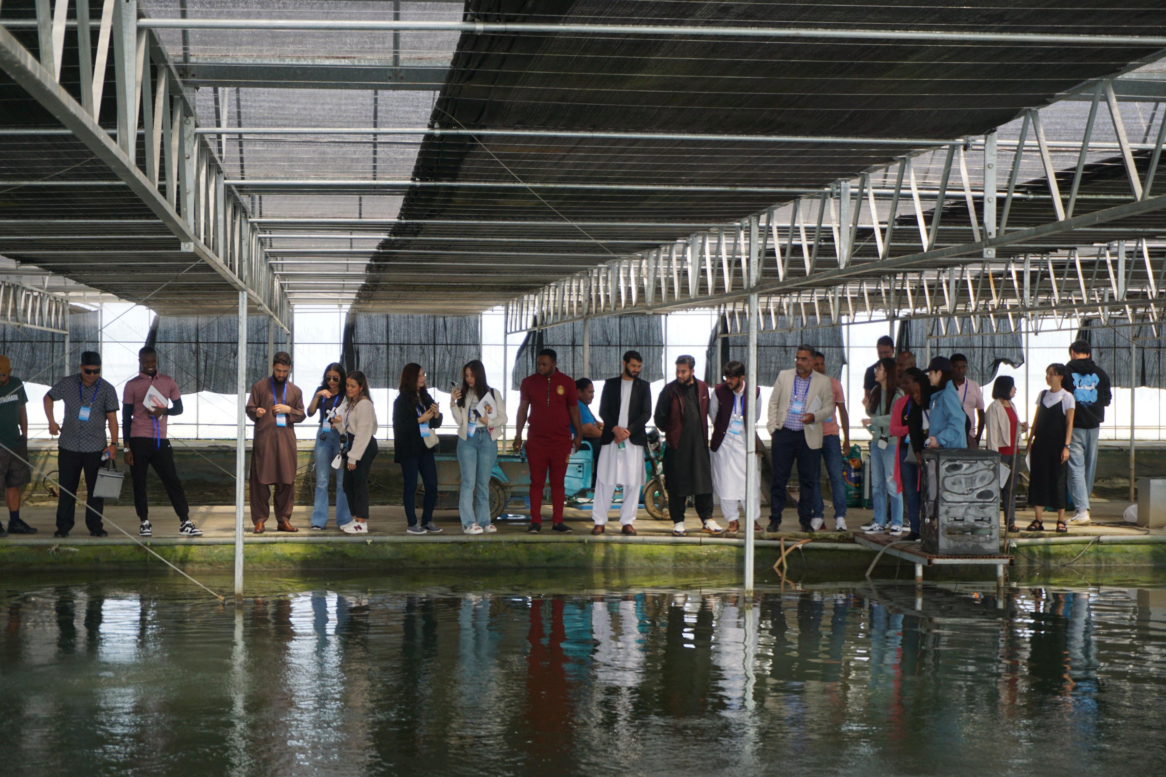 Sunset in the mountains